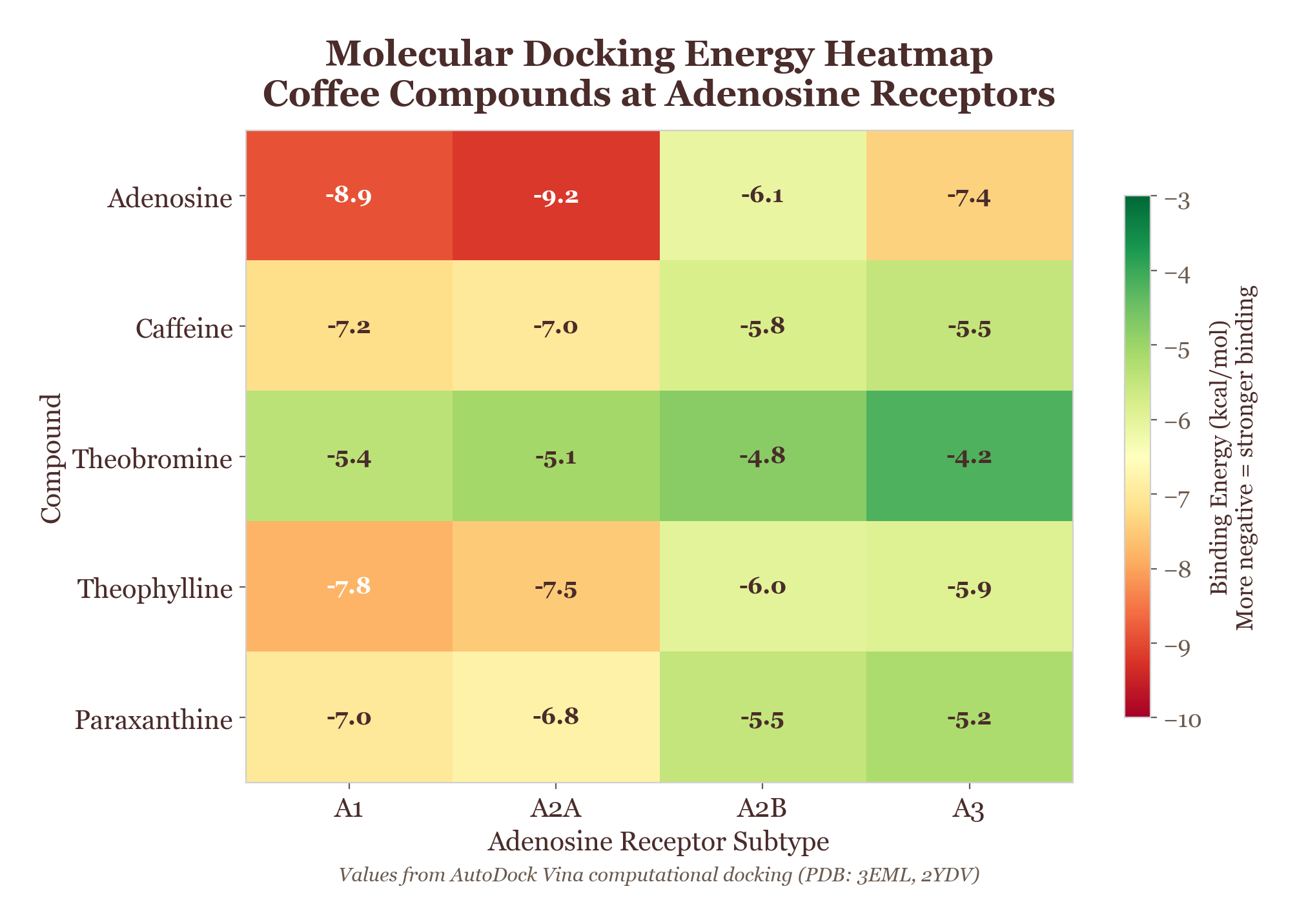 Heatmap of binding affinities across coffee compounds and biological targets