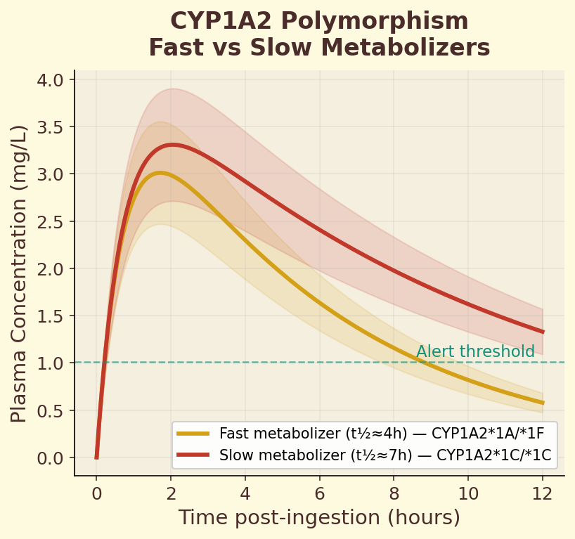 Fast vs slow caffeine metabolizers CYP1A2 polymorphism