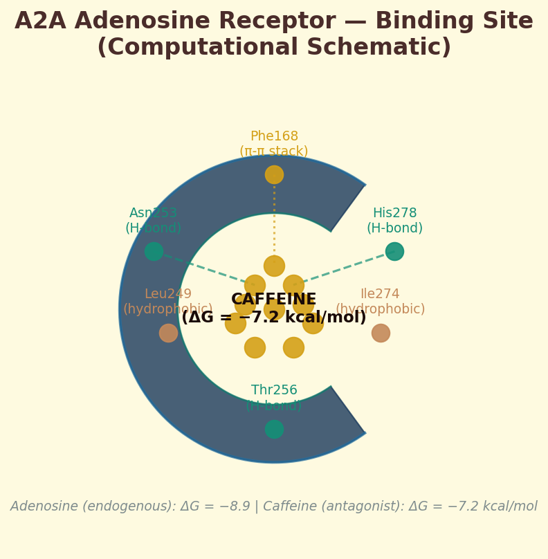 A2A adenosine receptor binding site schematic