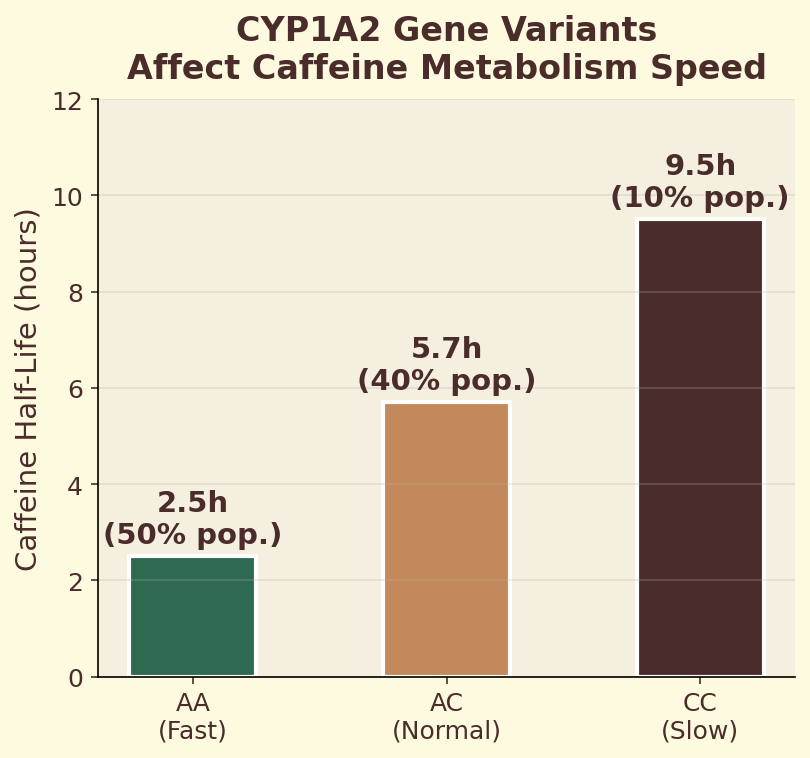 CYP1A2 gene variants and caffeine metabolism speed