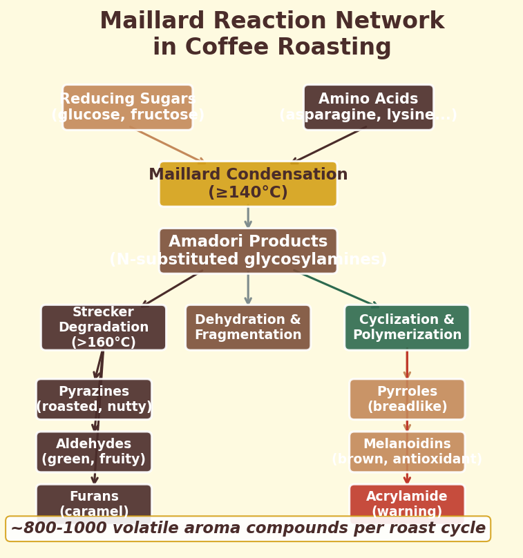 Maillard reaction network in coffee roasting