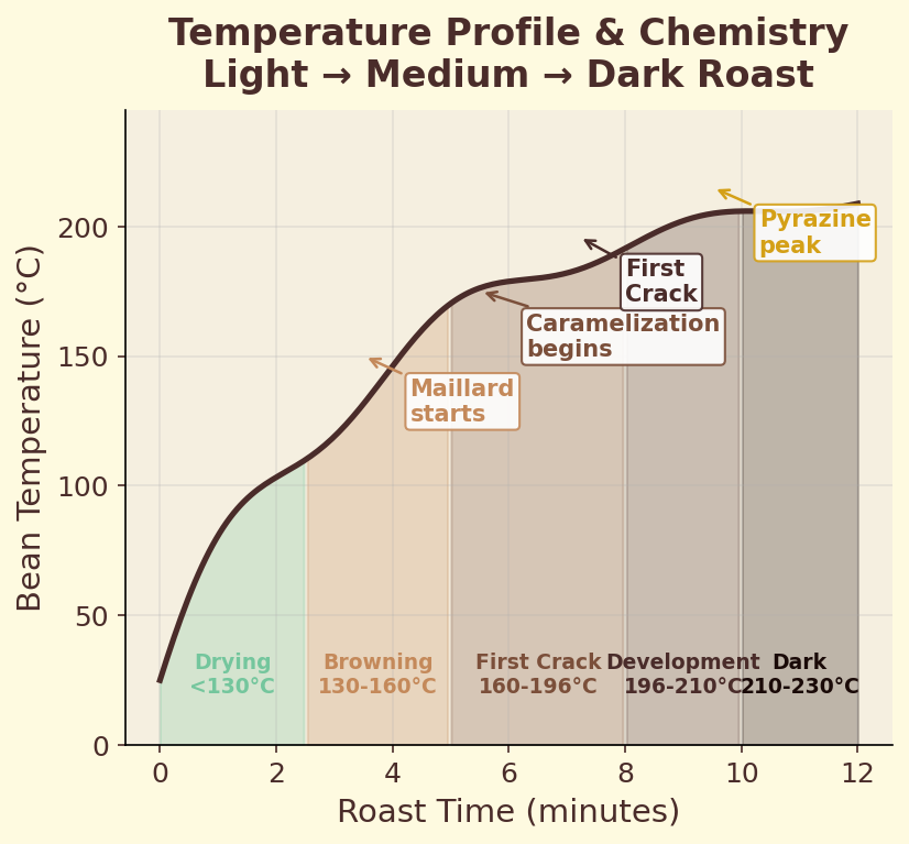 Temperature profile and chemistry during roasting