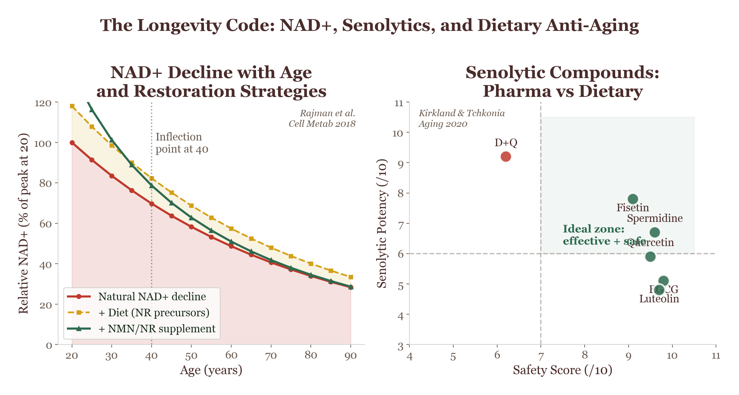 Decoding the longevity code and coffee consumption