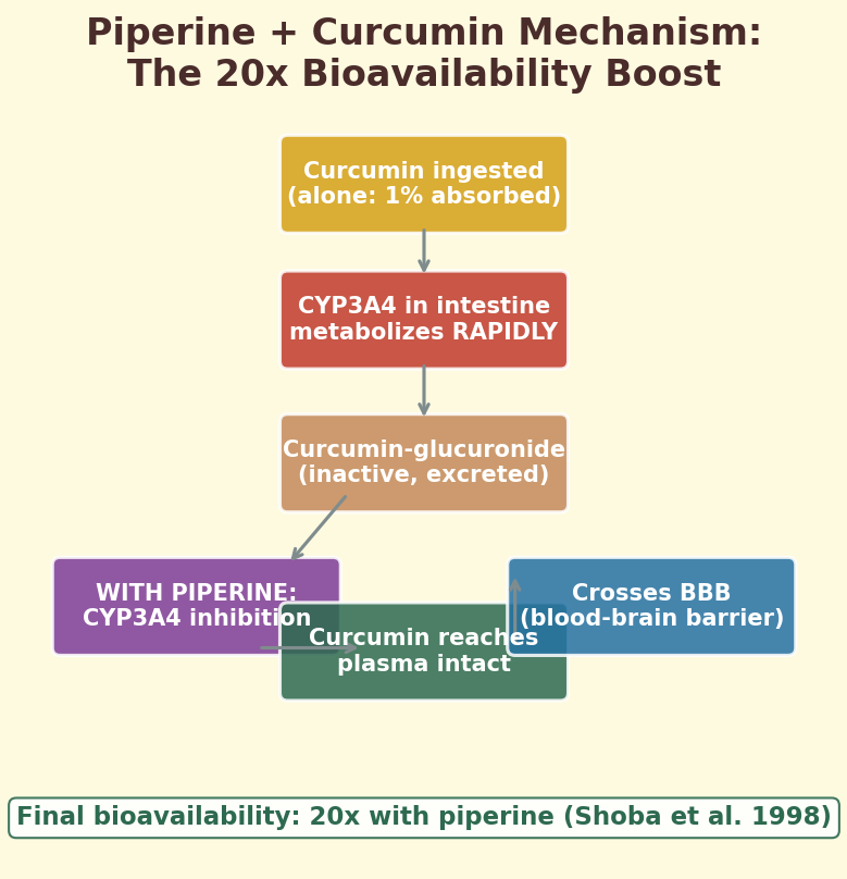 Piperine-curcumin bioavailability mechanism