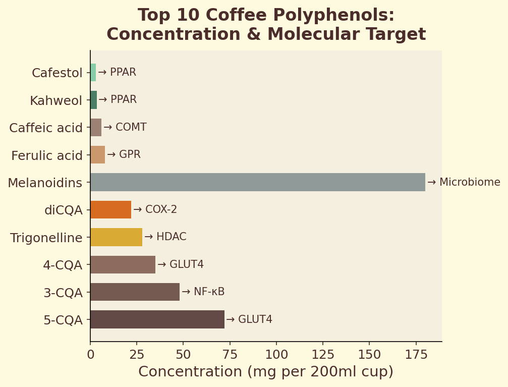 Top 10 coffee polyphenols and molecular targets