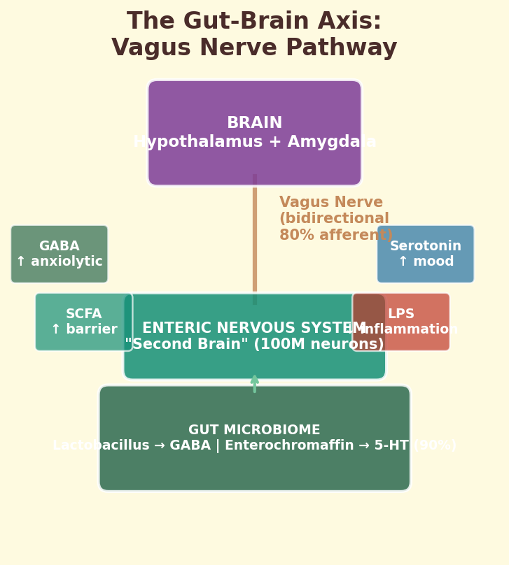 Gut-brain axis vagus nerve pathway diagram