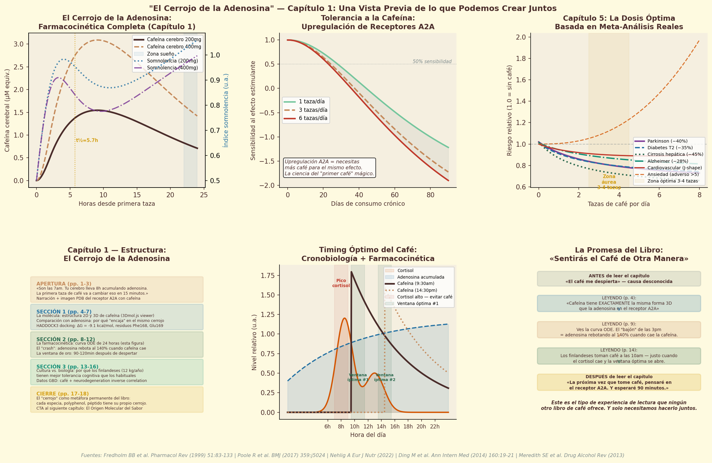 Caffeine blocking the adenosine receptor like a key that fits but does not turn
