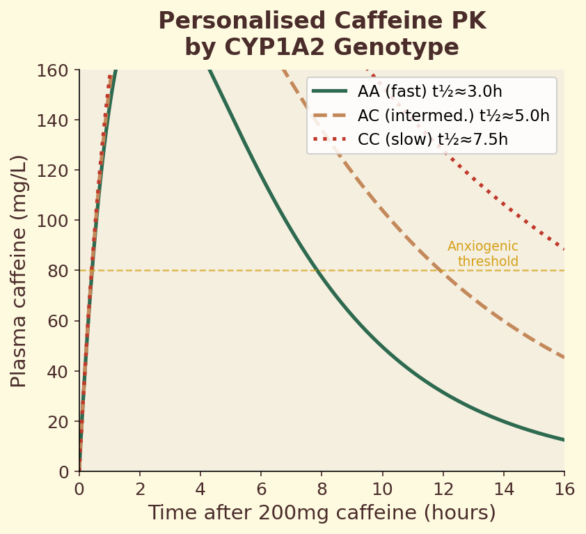 Personalised caffeine pharmacokinetics by genotype