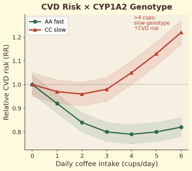 CVD risk by CYP1A2 genotype and coffee intake