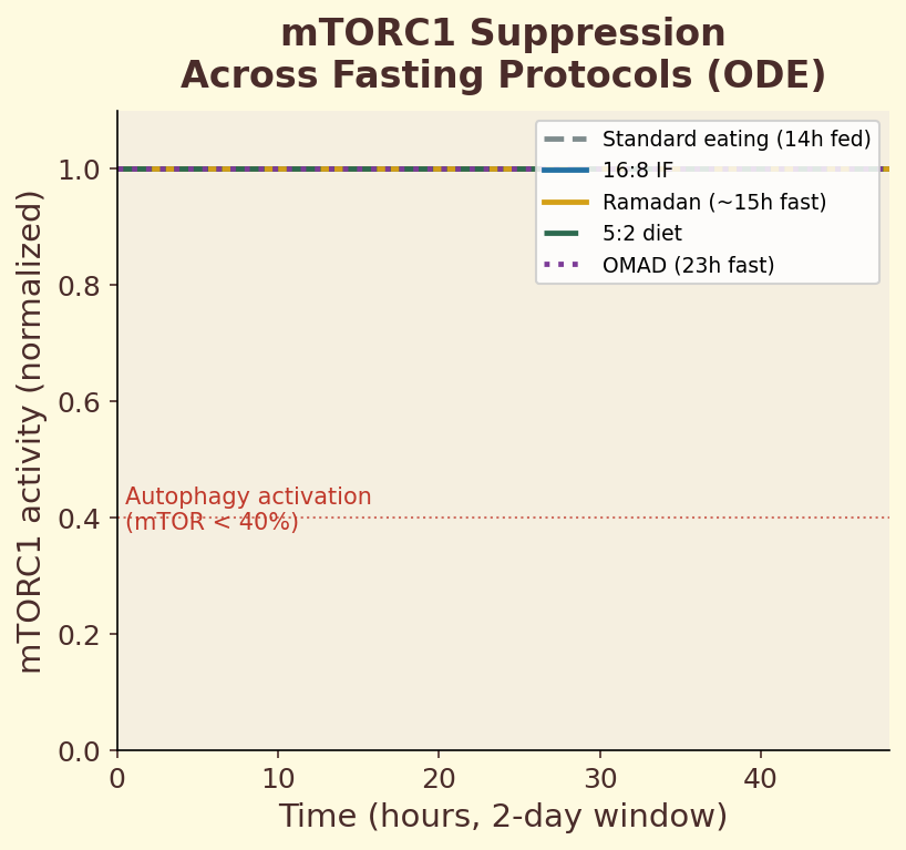 mTORC1 suppression across fasting protocols