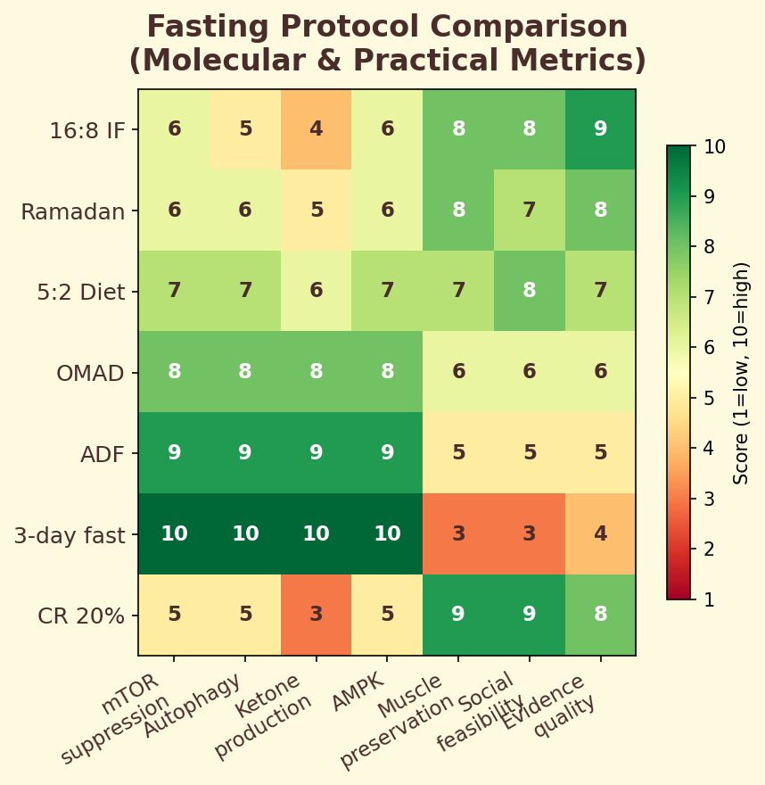 Fasting protocol comparison heatmap