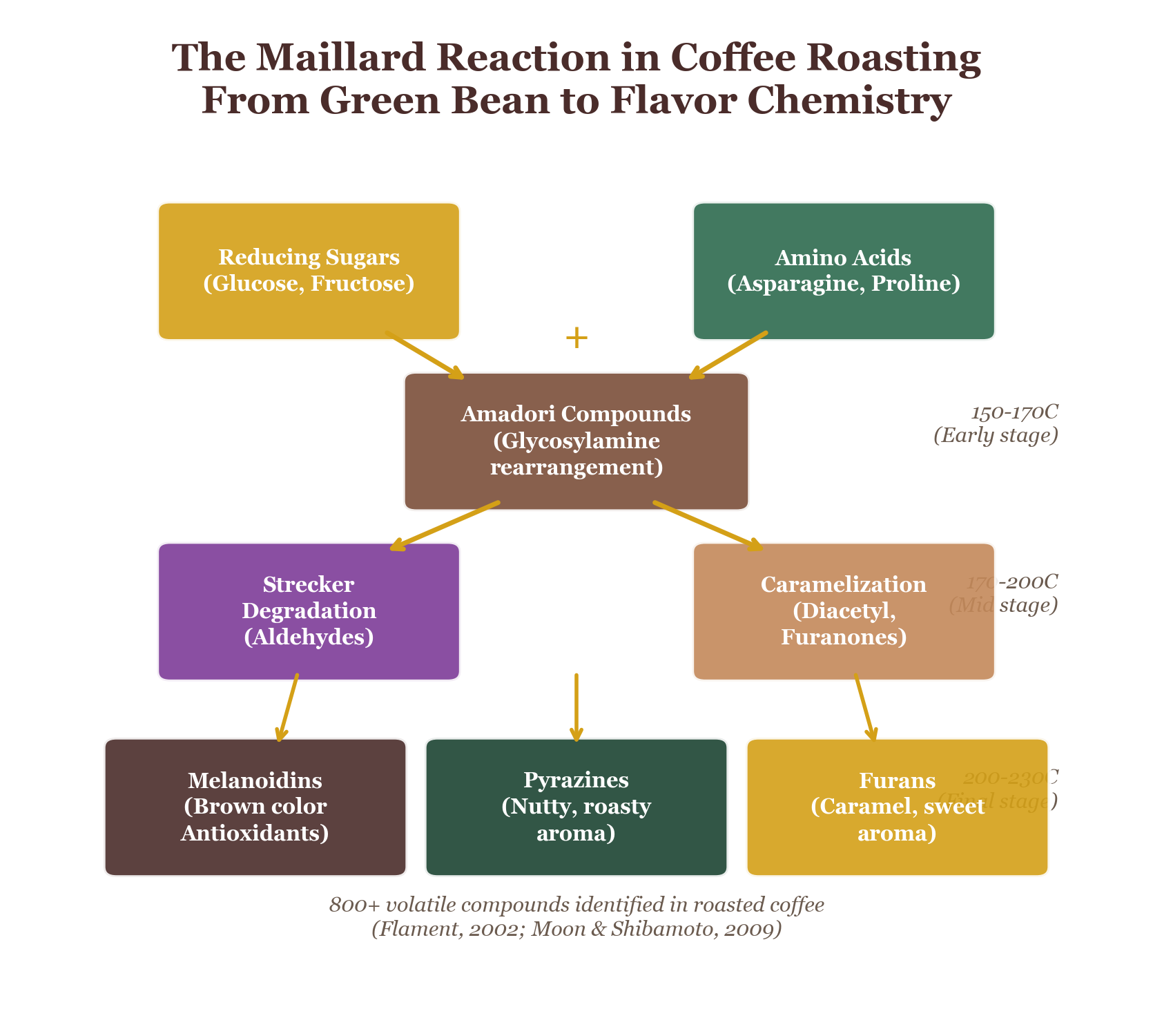 Detailed Maillard reaction pathway showing stages and intermediates
